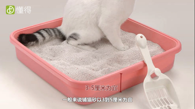 猫砂的厚度