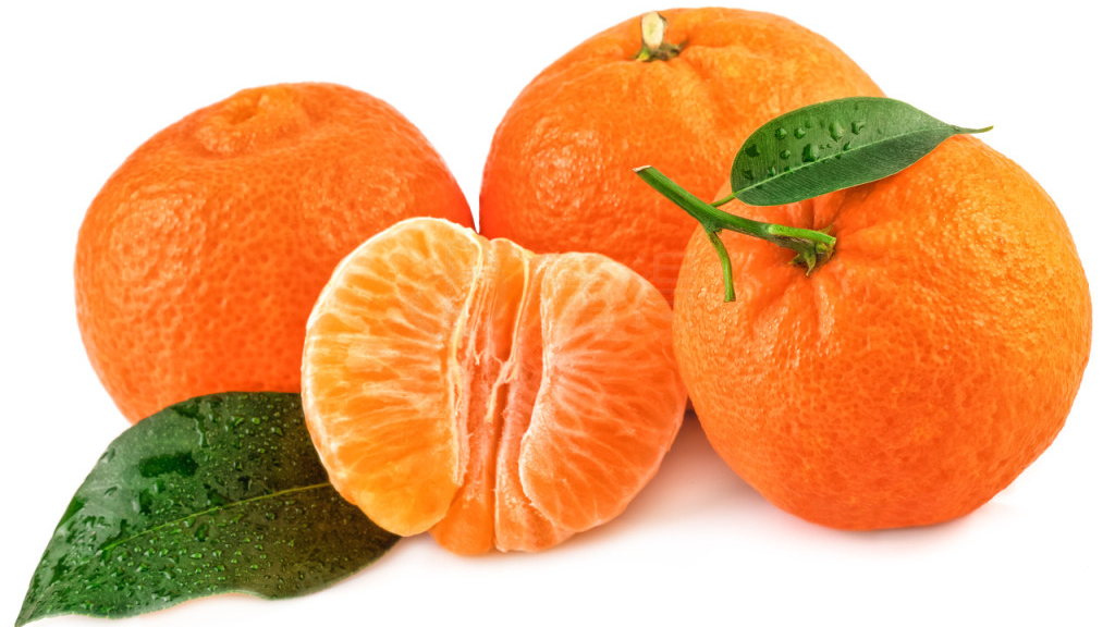 橘子皮对猫有害吗