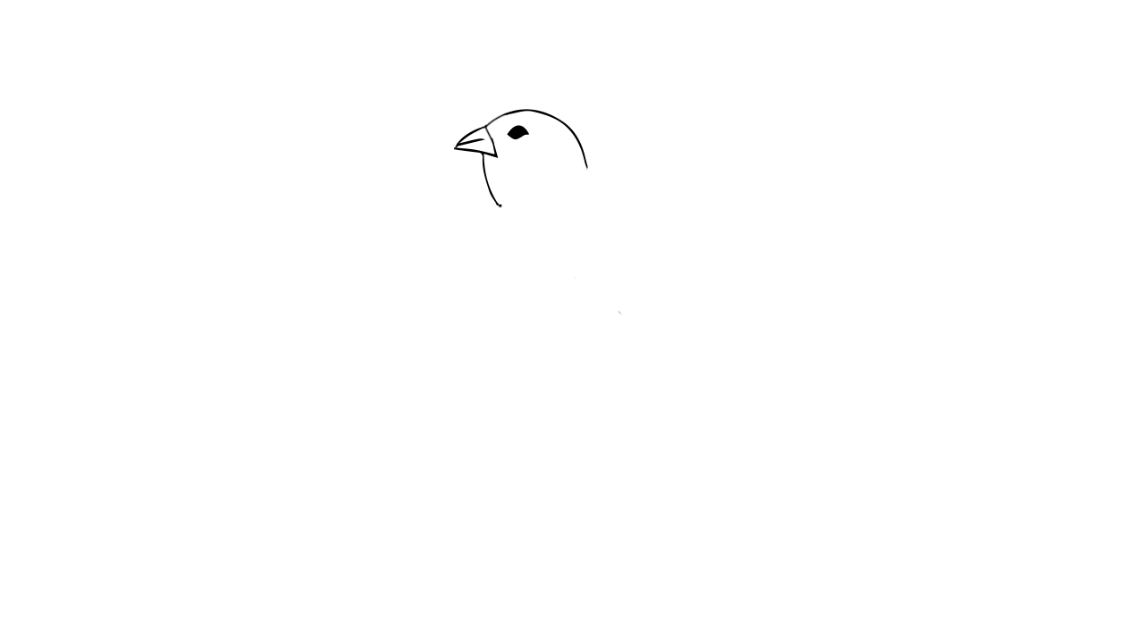 珍珠鸟简笔画怎么画