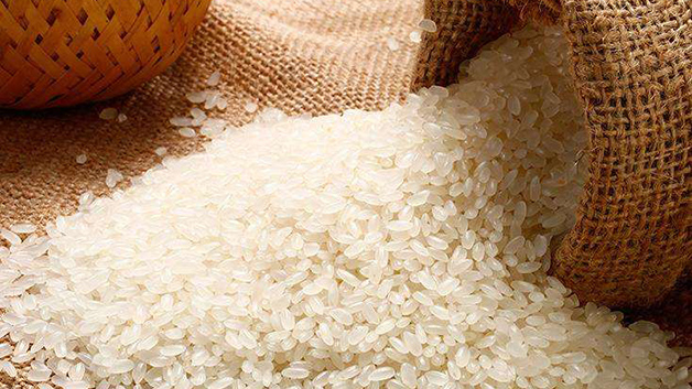 大米含糖量高还是面高