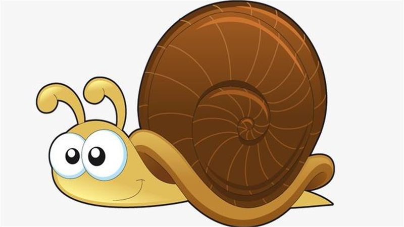 蜗牛的特点和本领