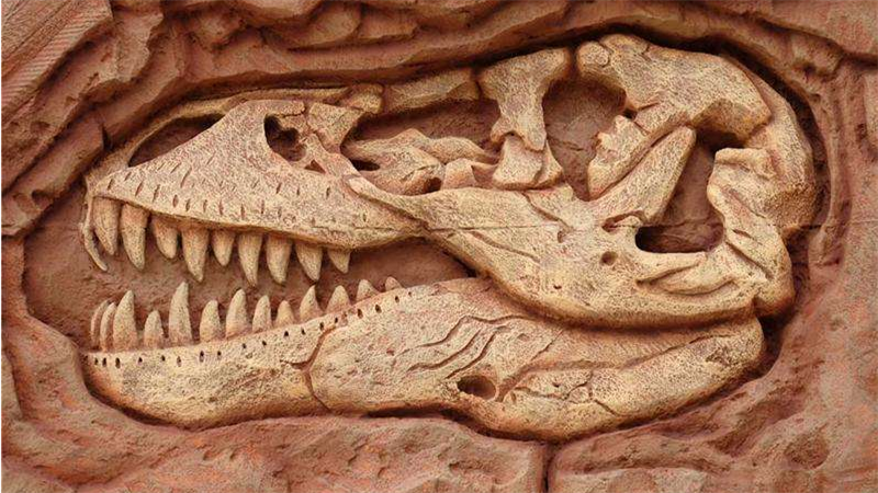 恐龙化石怎么形成的