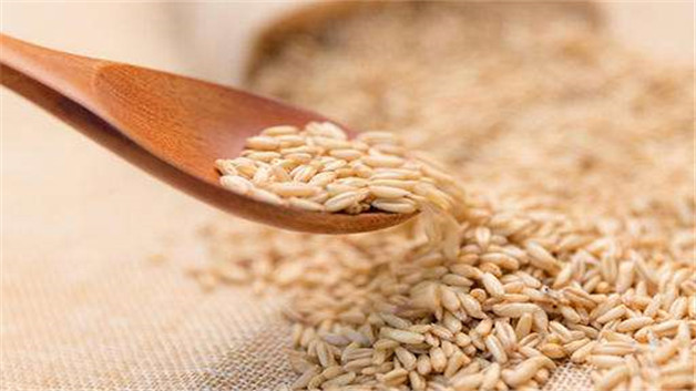 胚芽米是什么米