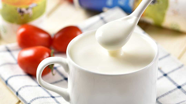酸奶属于寒性食物吗