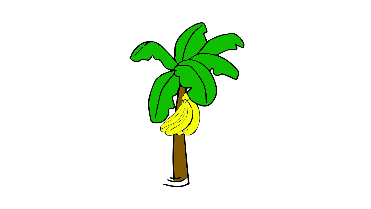 香蕉树怎么画
