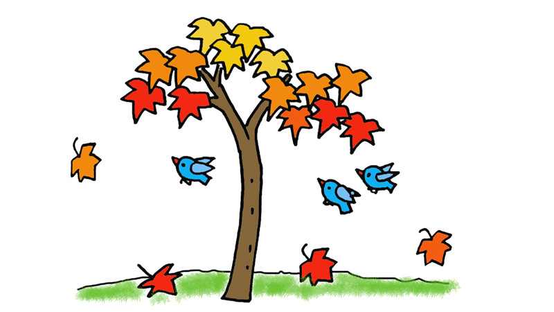 秋天的树简笔画